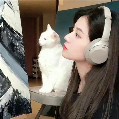疯狂单身夜